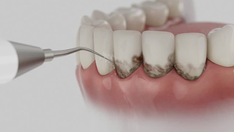 Reliable Dental contractor in New Castle, IN by Dentist Open Now